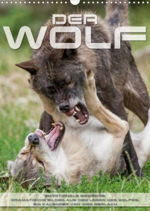 Emotionale Momente: Der Wolf. (Wandkalender 2023 DIN A3 hoch)