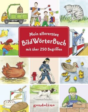 Mein allererstes Bildwörterbuch mit über 250 Begriffen