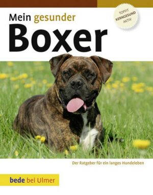 Mein gesunder Boxer