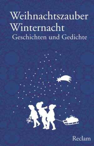 Weihnachtszauber Winternacht